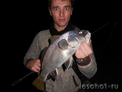21_11_12_6.JPG