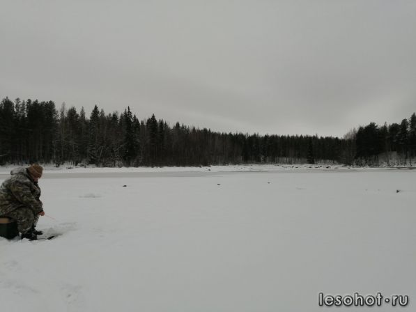 photo_00262.jpg