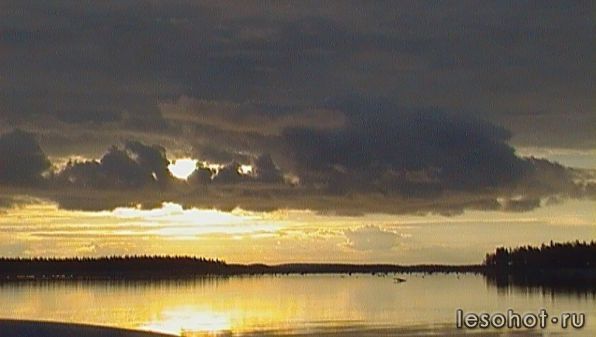 photo_00181.jpg