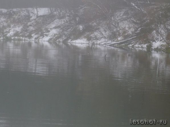 P1020747.JPG