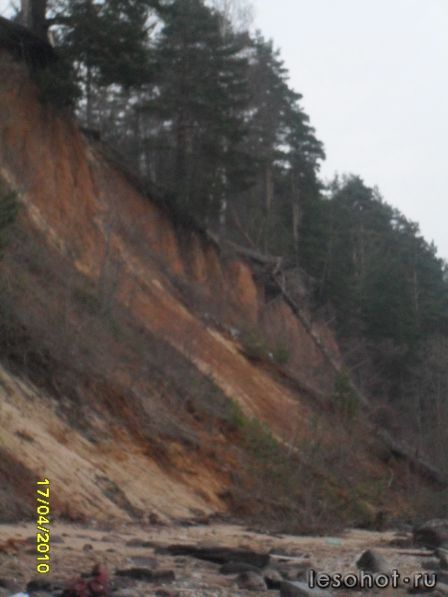 SDC12041.jpg