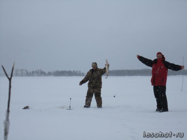 IMG_2769.jpg