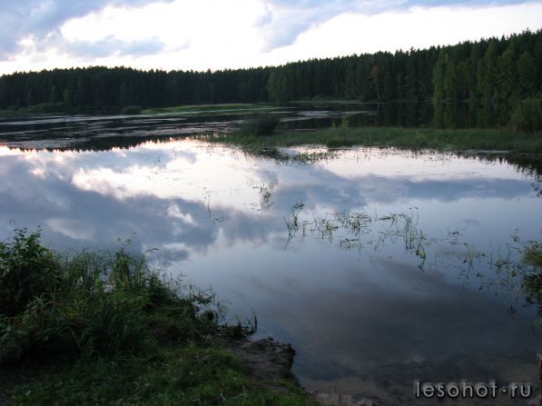 IMG_2718.jpg