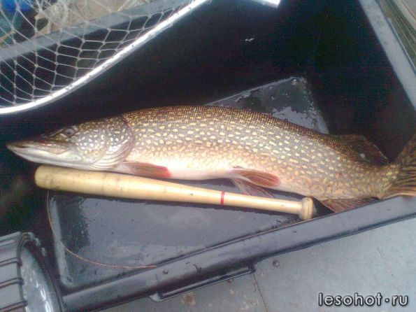 ��� ���� 11-13����.2013�. (3).jpg