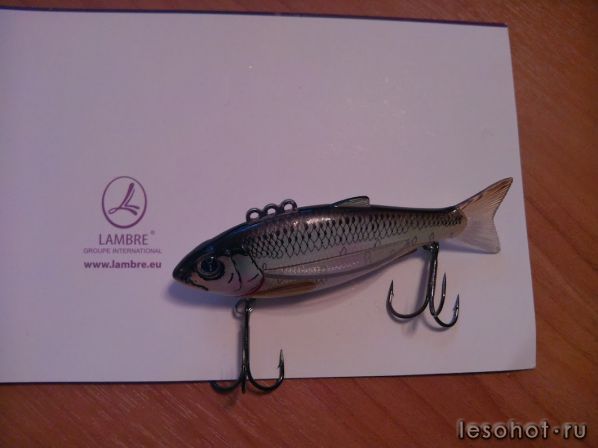 IMG_20120312_183340.jpg
