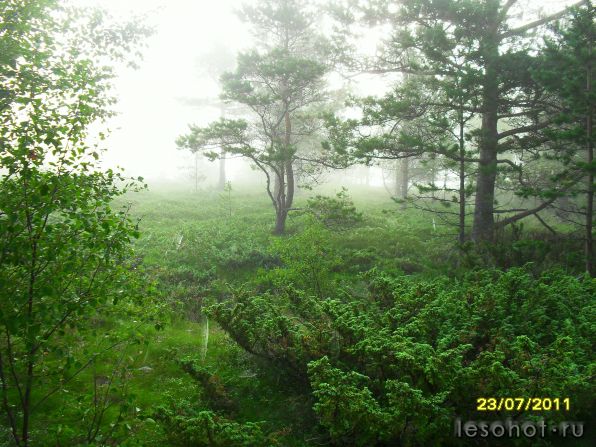 SDC12019.JPG