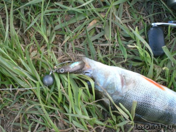 �������� ������� 28.05.2017