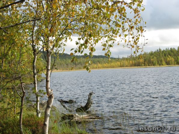 IMG_0992.JPG