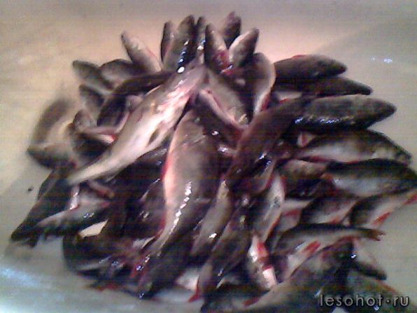IMG0039A.jpg