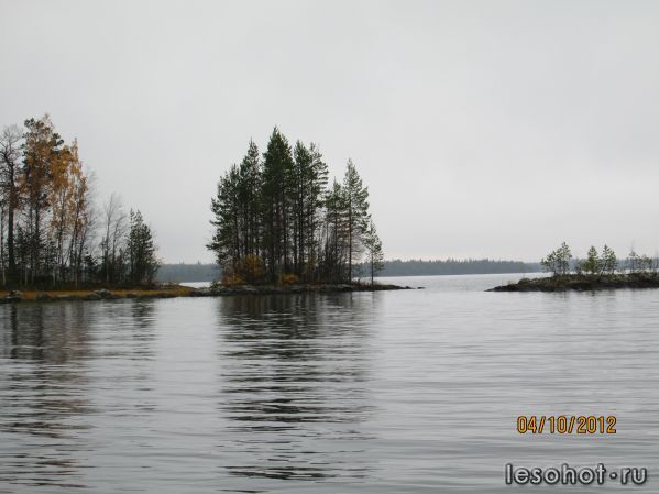 IMG_0129.JPG