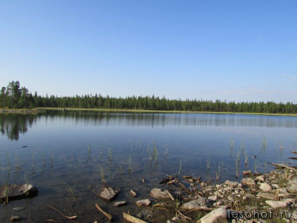 IMG_0784.JPG