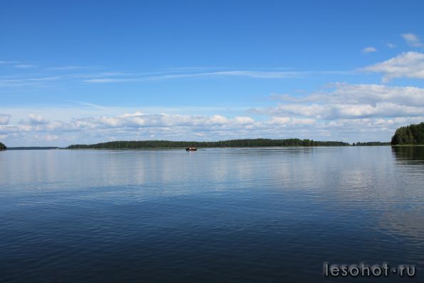 IMG_0063.JPG