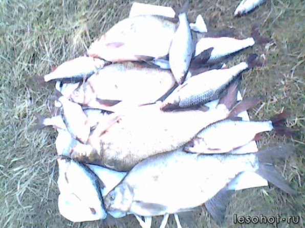 IMG0038A.jpg