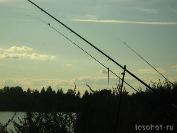 IMG_0003.JPG