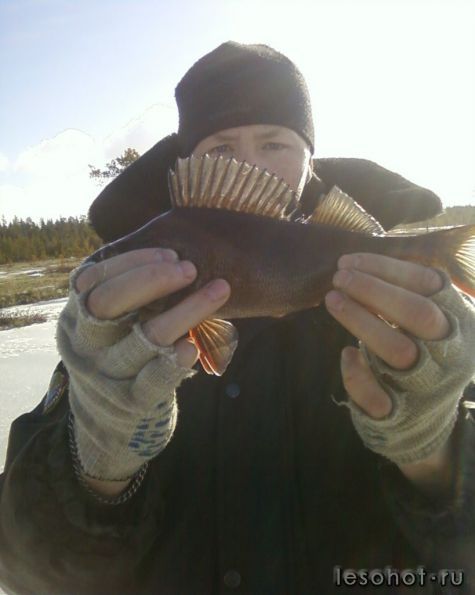 photo_00036.jpg