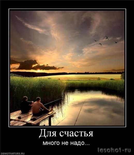637f82437bdf.jpg