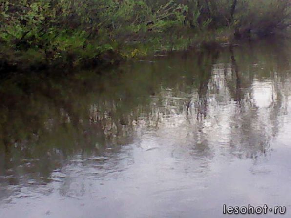 DSC00055.JPG