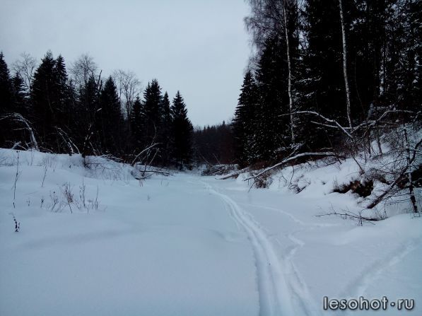 DSC_0030.jpg
