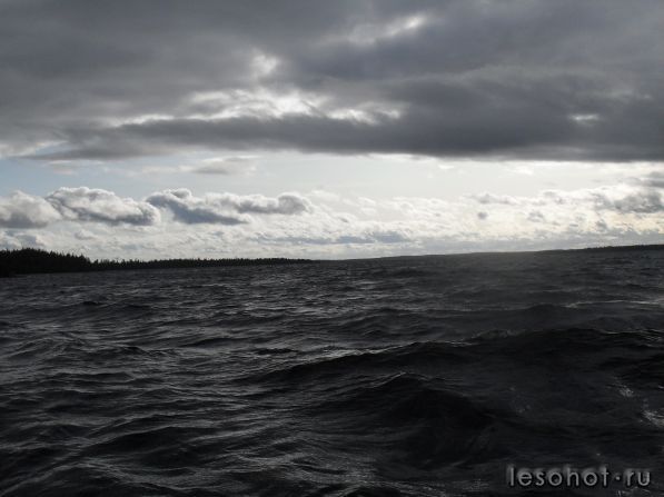 SDC10098.JPG