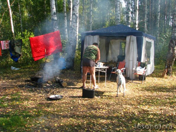 IMG_0653.JPG
