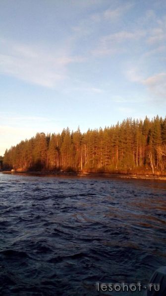 photo_00321.jpg