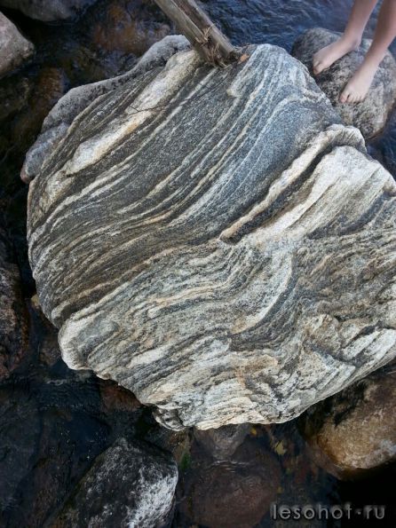 photo_00185.jpg