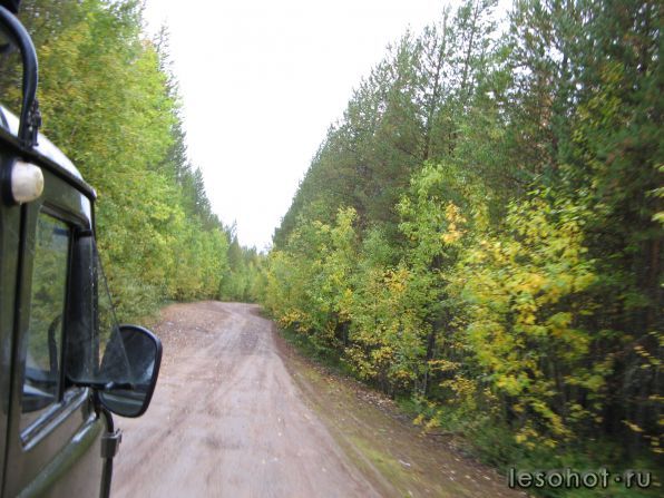 IMG_0973.JPG