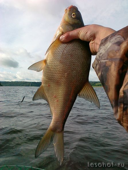 27062012301.jpg