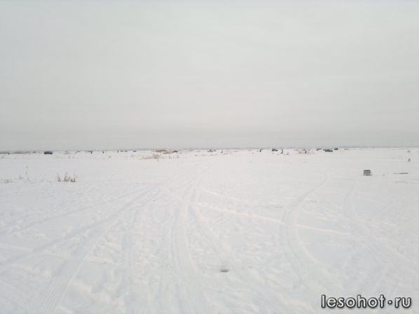 2013-01-12-1313.jpg