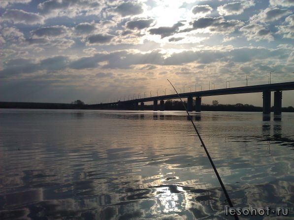 WP_001005.jpg