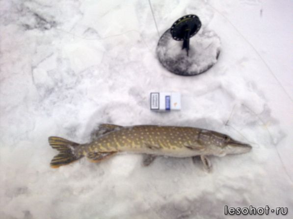 05122010021.jpg