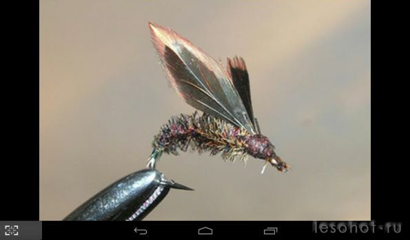 Screenshot_2015-03-02-01-15-15.png