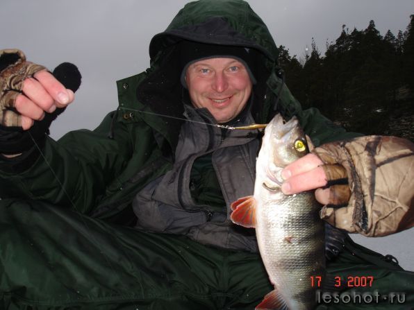   2007 