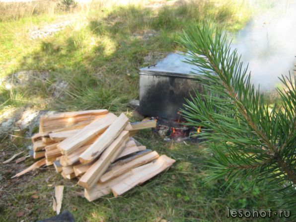 IMG_0248.JPG