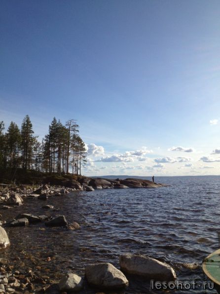 photo_00319.jpg