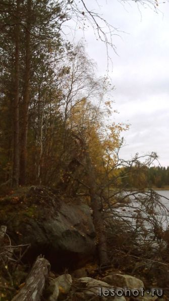2IMG-20171003-WA0005.jpg