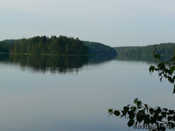 P1030190.JPG