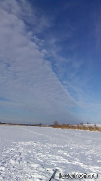 IMG_20150218_145632.jpg