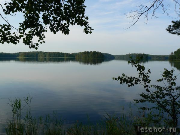 P1030189.JPG