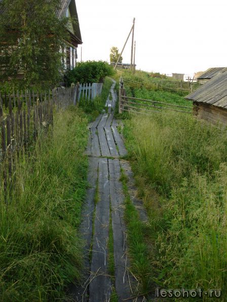 DSC00903.JPG