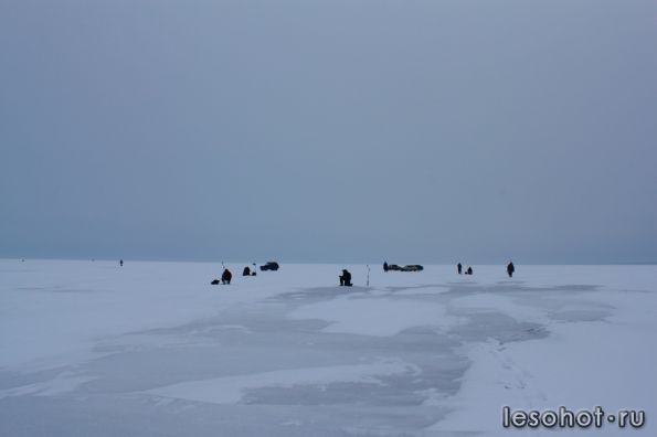 IMG_9415.jpg