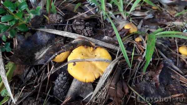 20180707_063019.jpg