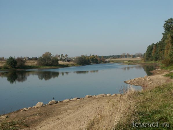 PICT0011.JPG