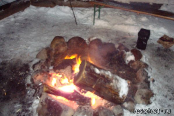 DSC02445.JPG