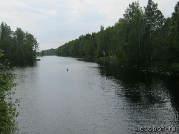 IMG_0480.JPG