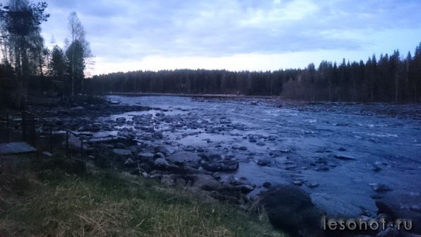 photo_00026.jpg