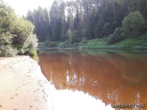 20170823_090618.jpg