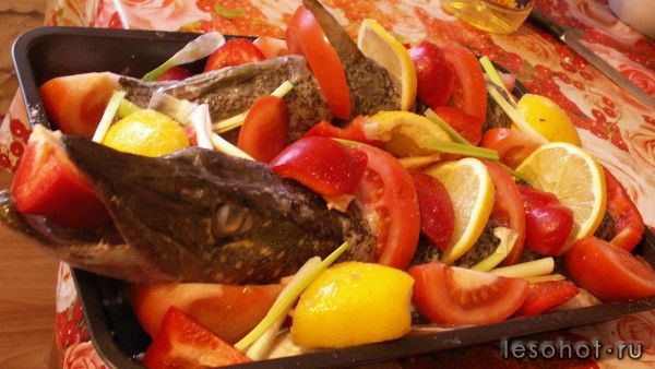 �������������