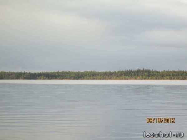 IMG_0212.JPG