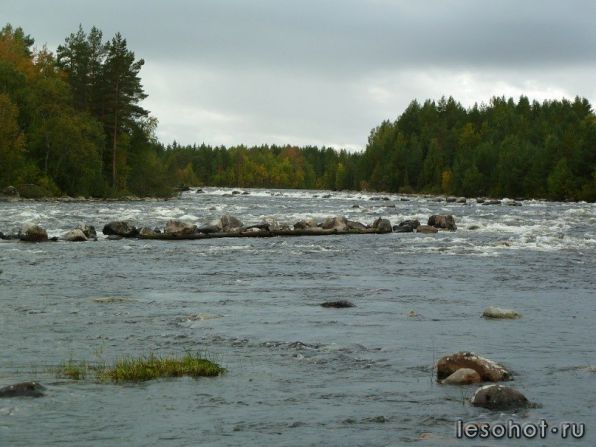 photo_00180.jpg
